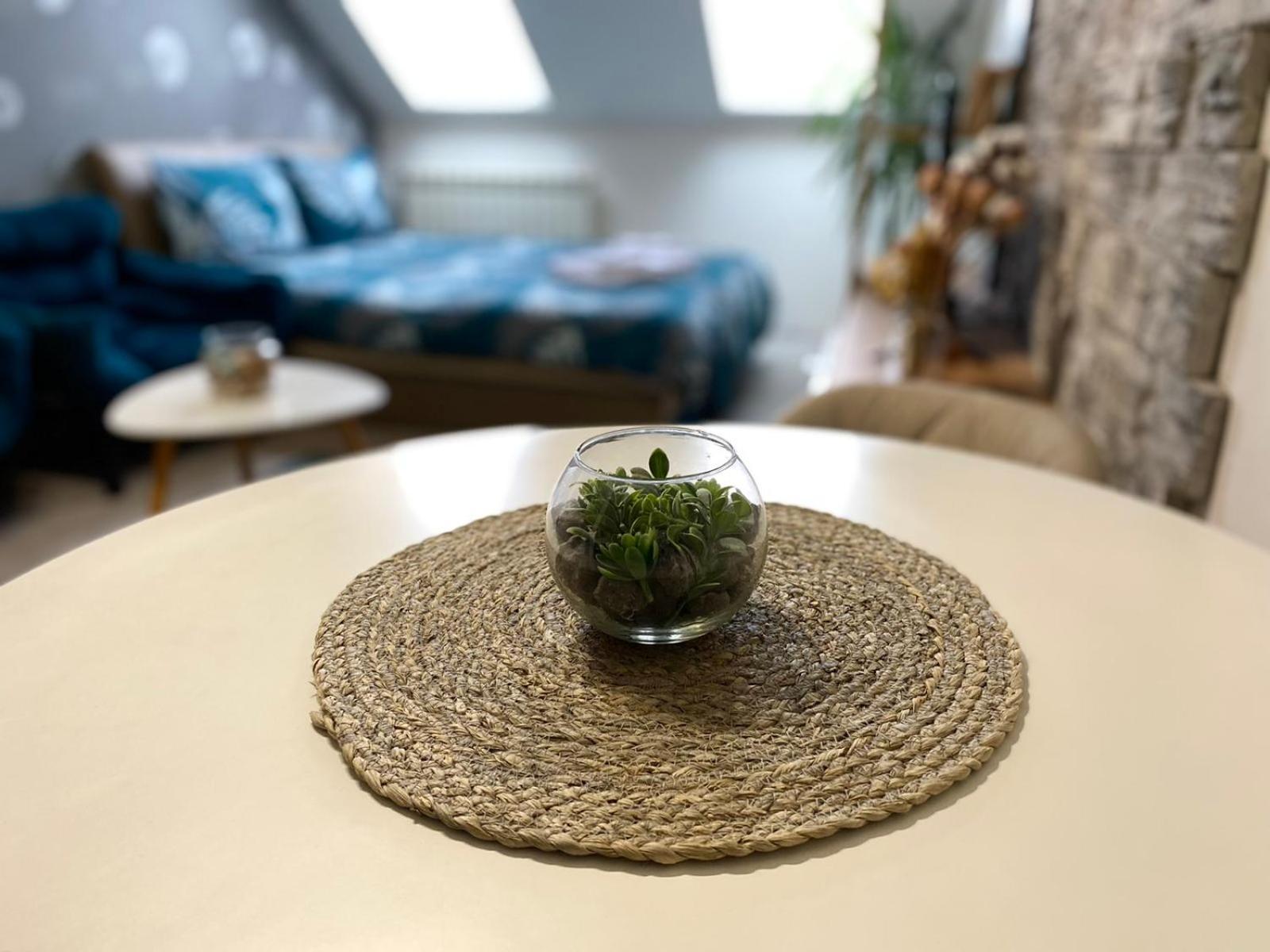 Apartment Centrum - Free Private Parking 노비사드 외부 사진
